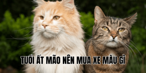 Tuổi Canh Thân Nên Mua Xe Màu Gì Hợp Phong Thủy 2025