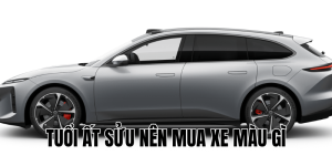 Tuổi Ất Hợi Nên Mua Xe Màu Gì Để Tài Lộc Thăng Hoa 2025