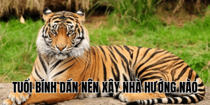 Tuổi Ất Mão Nên Xây Nhà Hướng Nào: Cẩm Nang Phong Thủy Chi Tiết